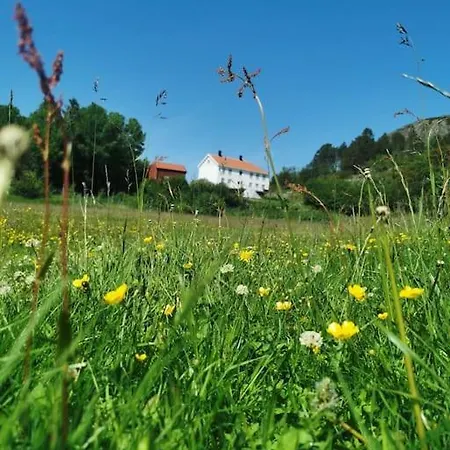 Stabburet Pa Balsnes Gard Apartman *