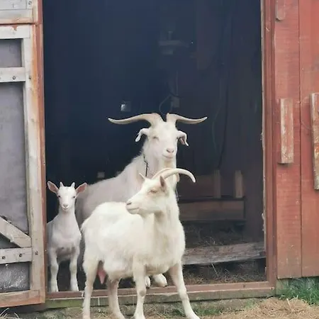 Stabburet Pa Balsnes Gard Apartman