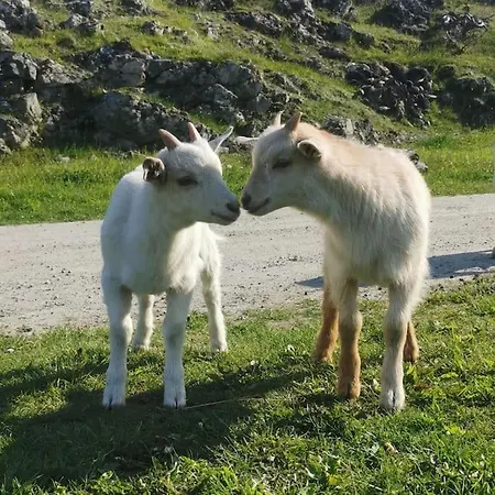 Stabburet Pa Balsnes Gard