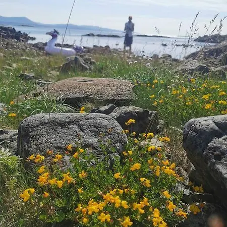 Stabburet Pa Balsnes Gard Hitra