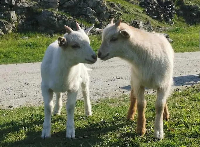Stabburet Pa Balsnes Gard