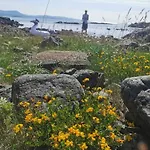 Stabburet Pa Balsnes Gard Hitra