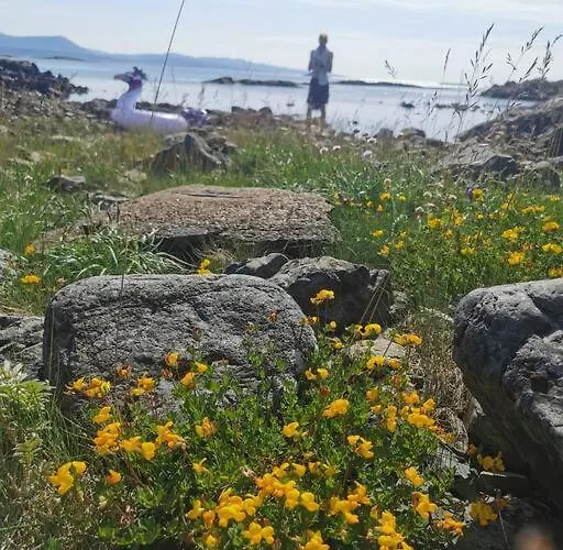 Stabburet Pa Balsnes Gard Hitra